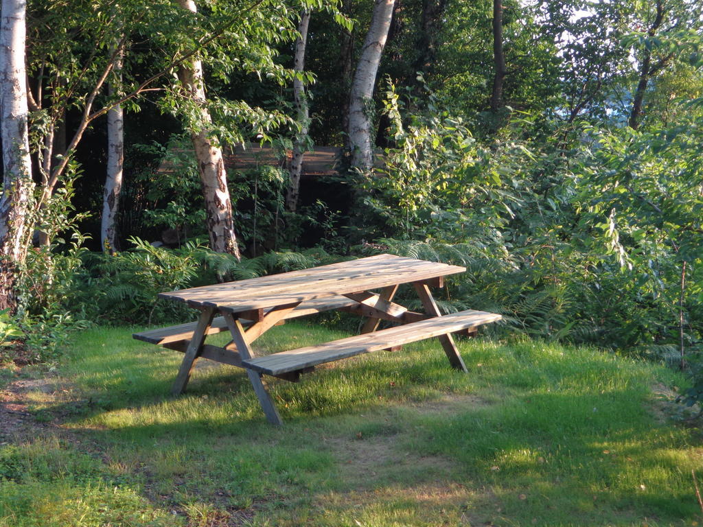 Green Hill Guest House And Apartment Overijse Esterno foto