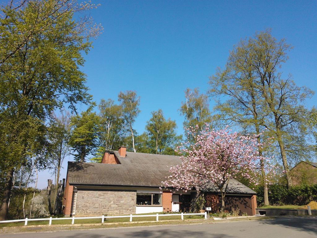 Green Hill Guest House And Apartment Overijse Esterno foto
