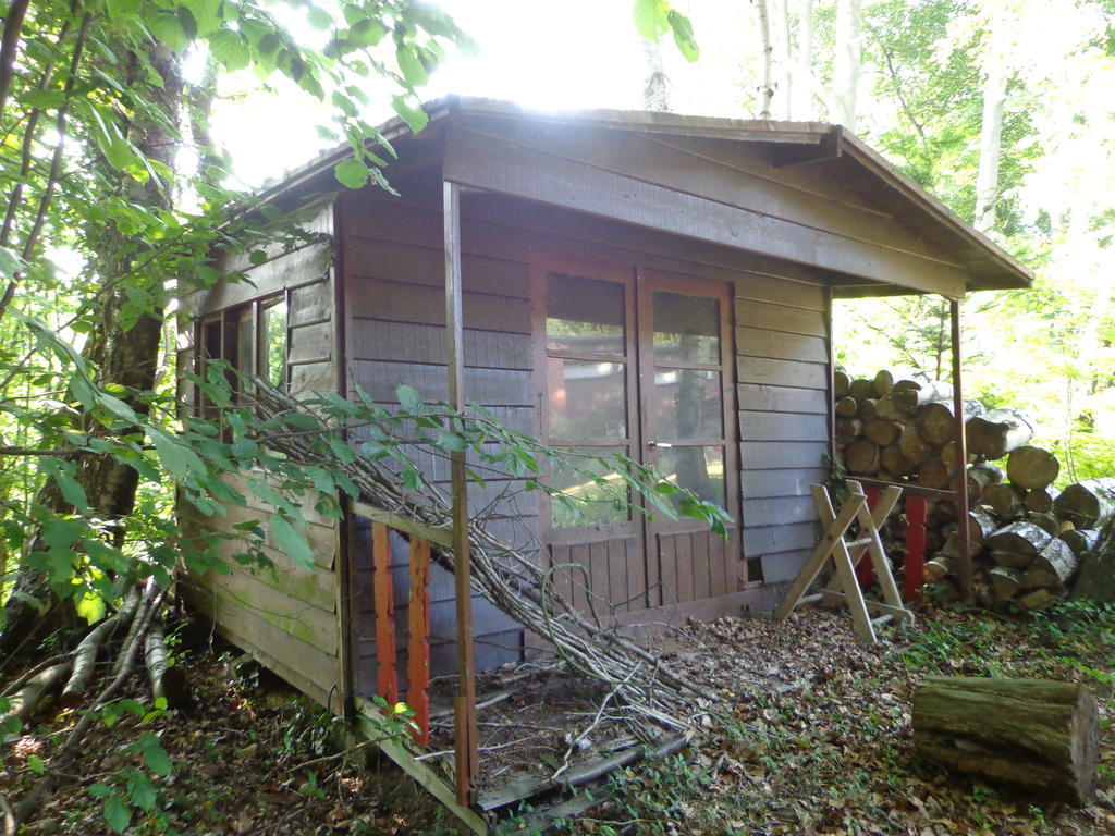 Green Hill Guest House And Apartment Overijse Esterno foto