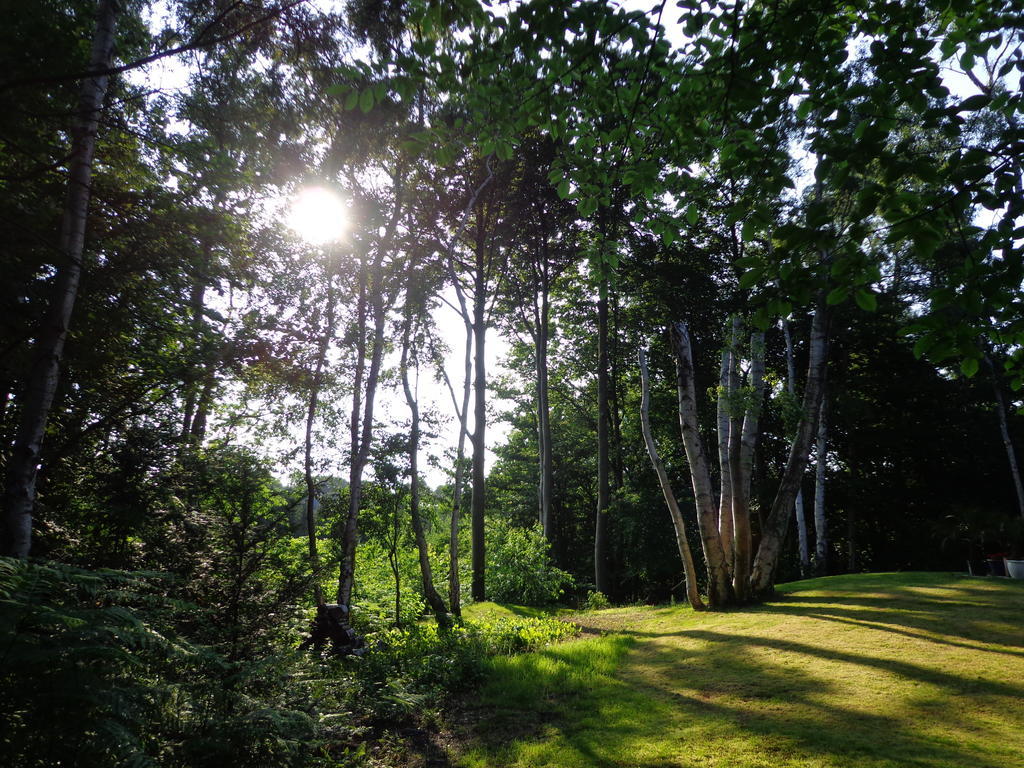 Green Hill Guest House And Apartment Overijse Esterno foto