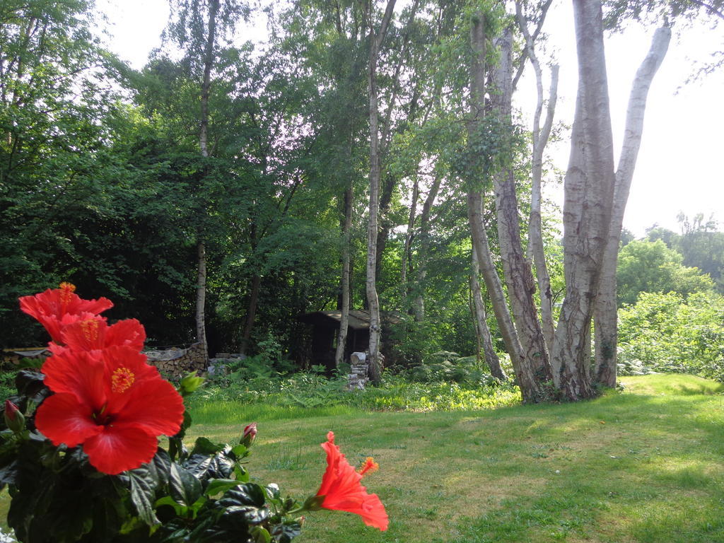 Green Hill Guest House And Apartment Overijse Esterno foto